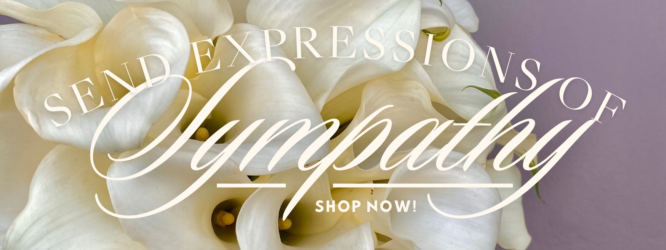 Flower Delivery to San Jose by Rosies & Posies Downtown